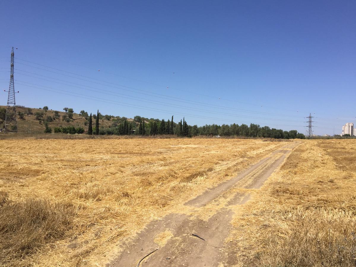 הוילה כפר רות אוהל השלום מראה חיצוני תמונה