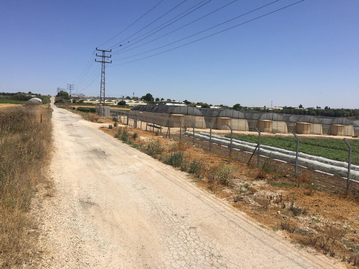 הוילה כפר רות אוהל השלום מראה חיצוני תמונה