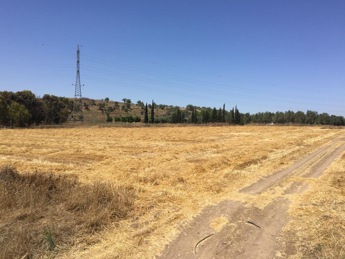 הוילה כפר רות אוהל השלום מראה חיצוני תמונה